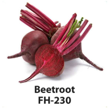 beetroot seeds, Farm House