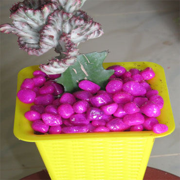 Coloured Pebble Stone Cerise, Mannasseril