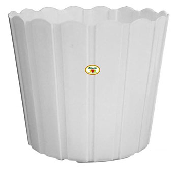 Pot03, Botanical Garden