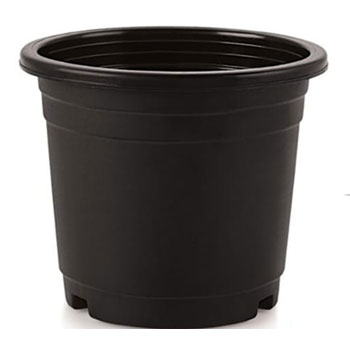 Pot04, Botanical Garden