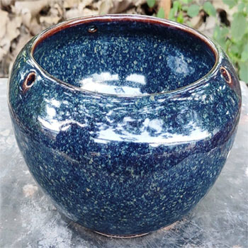 Pot09, Botanical Garden