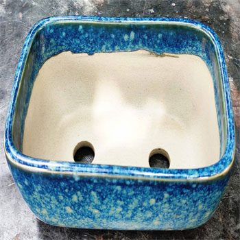 Pot18, Botanical Garden