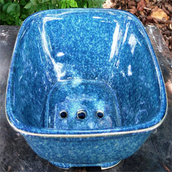 Pot20, Botanical Garden